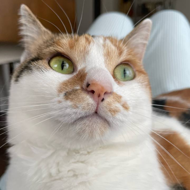 42e01c17 acf3 41c4 9b71 97274d95e73b 1651206326476