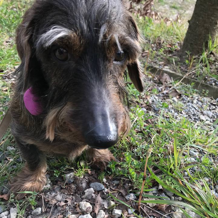 42e05770 332d 47fd b79d 68cc836a08e3 1553430398370