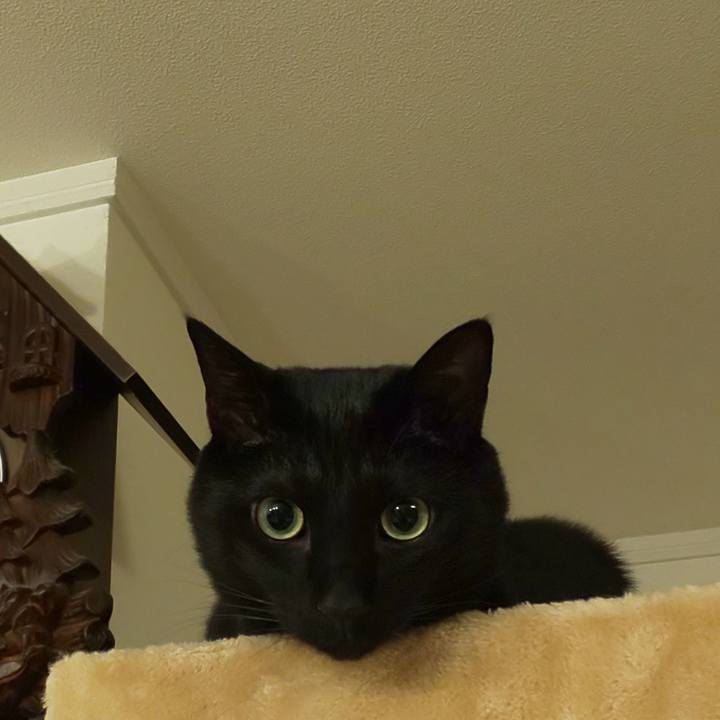 42e0989c ab71 4d3b 9b2c 184e23942e0e 1585582031534