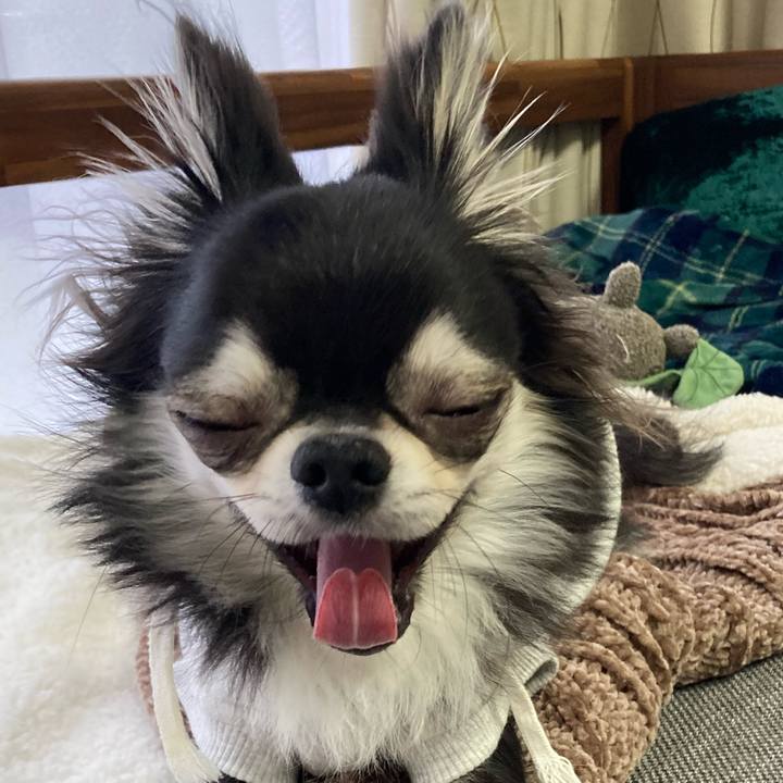 42e0c22f 0393 47f3 908c 9adc8f3710bd 1644734196208