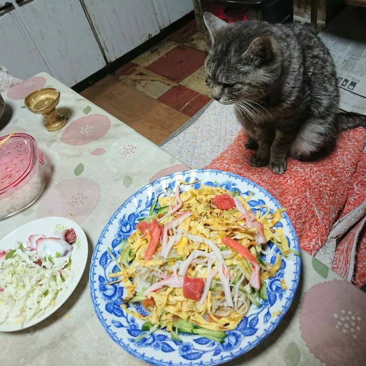 42e0cdb0 47b5 4bca 9e73 12172ef63db3 1583235858877