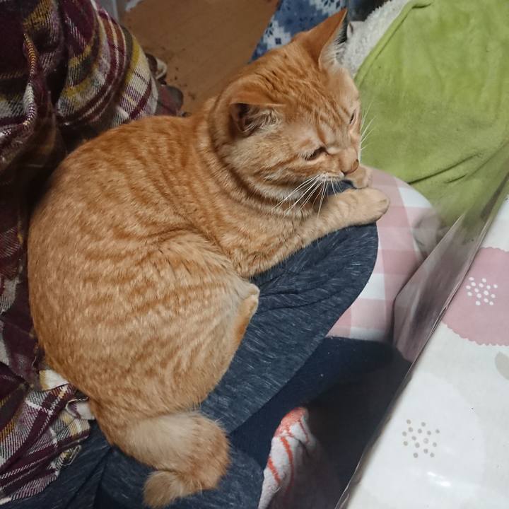 42e1290c 72e1 40e9 9695 f16946c34db8 1648899271364