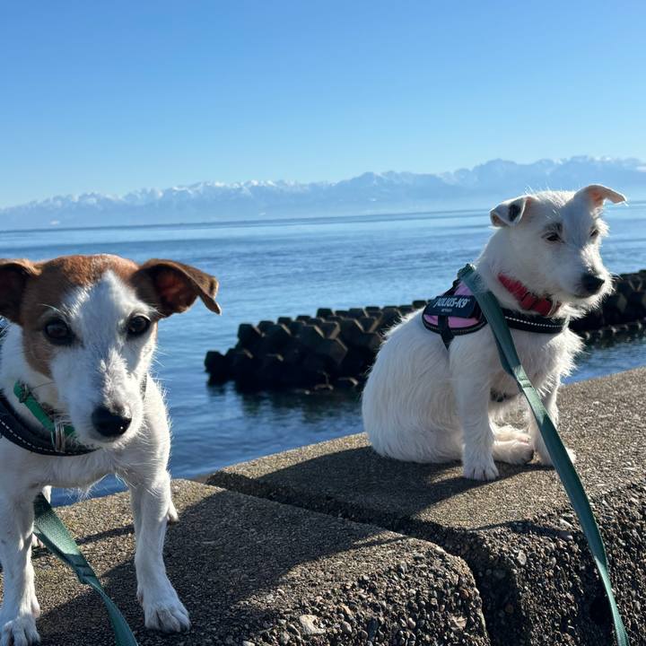 42e13042 e3ab 4aa5 acda 8dc33c653543 1764992861123