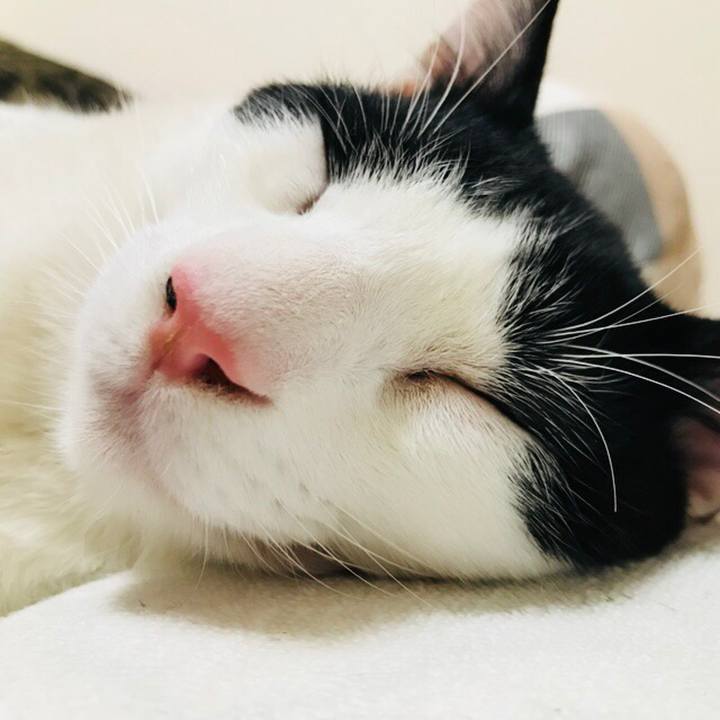 42e13727 2836 43b6 8adc 87c0fe6e3149 1513155196554