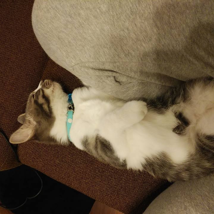 42e150c3 9cda 44cd ac96 1ea3d6f9e7c7 1566223459966