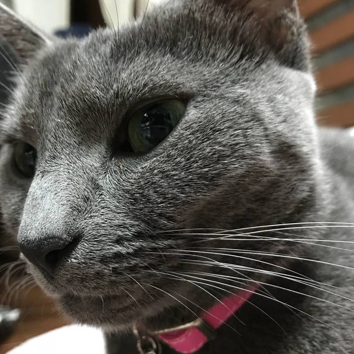 42e17aa5 6445 4962 ba13 952660f89a3b 1537569773837