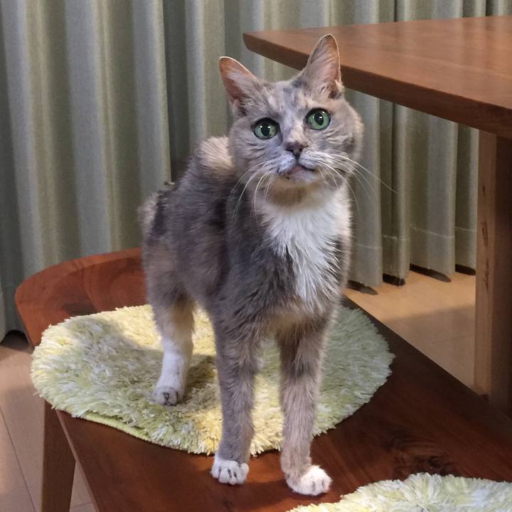 42e1a1c5 d00a 4aee af16 42cb05c504cb 1546349459161