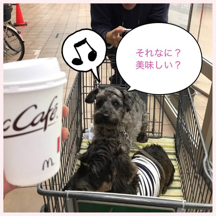 42e1c516 1df4 4bb5 b59b 00874c1430f2 1508498972683