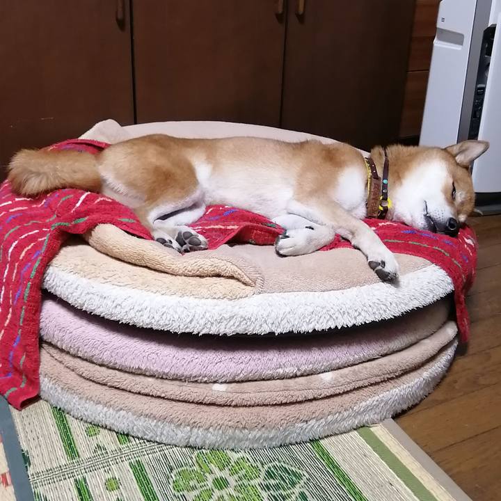 42e1d7fd c945 475c a5aa 8e05ed1e93f2 1633960511575