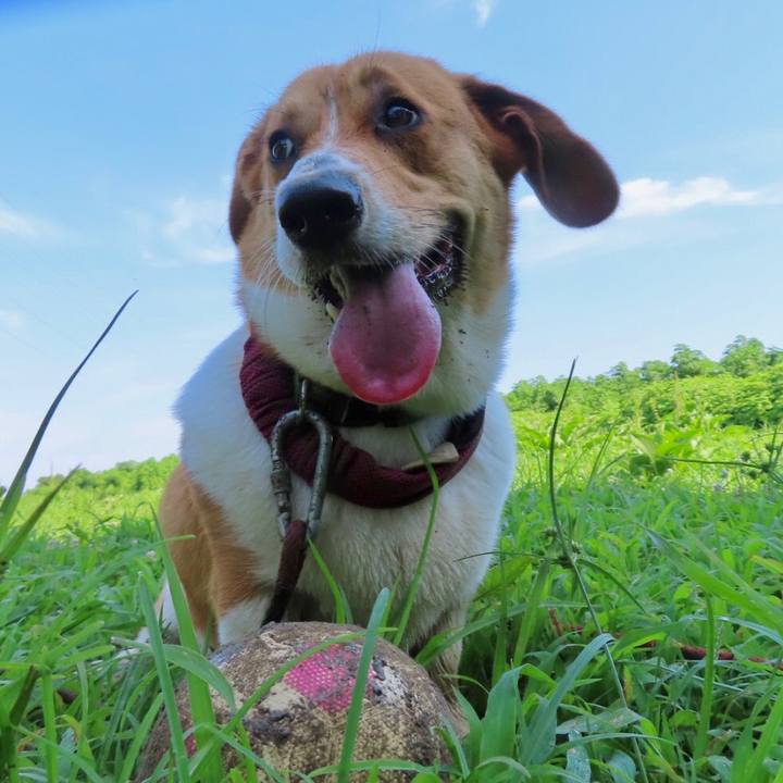 42e1ec23 c944 4e2f 8387 51b341b734eb 1627006782765