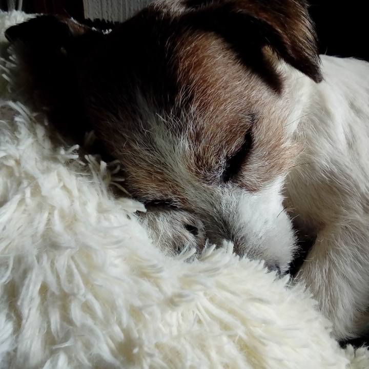 42e1f867 62c8 48d0 b205 e07a2749f40d 1543236351281