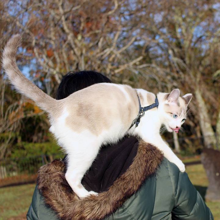 42e24047 f3cd 4d03 a43c 39709770152c 1611013249919