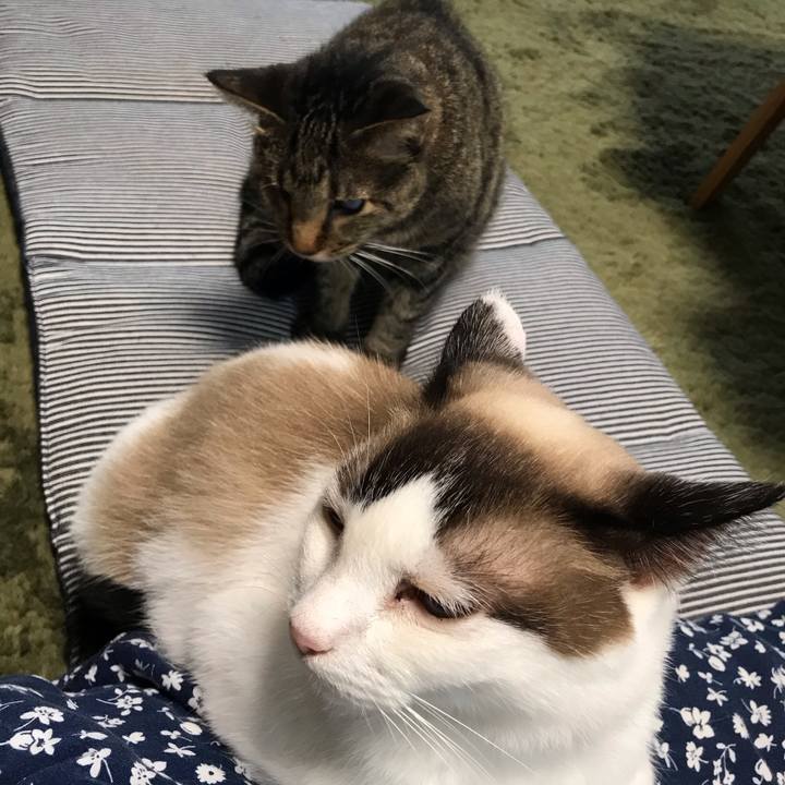 42e257c6 1907 4d95 9eac 90af75900dd2 1595652416587