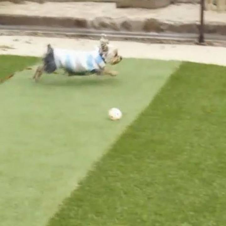 42e25ebd 3eb9 46e6 9588 b5a085568523 1555217410122