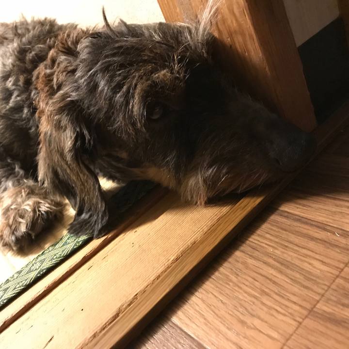 42e26424 48bb 46c6 ac32 ad1475c67f66 1537455828531