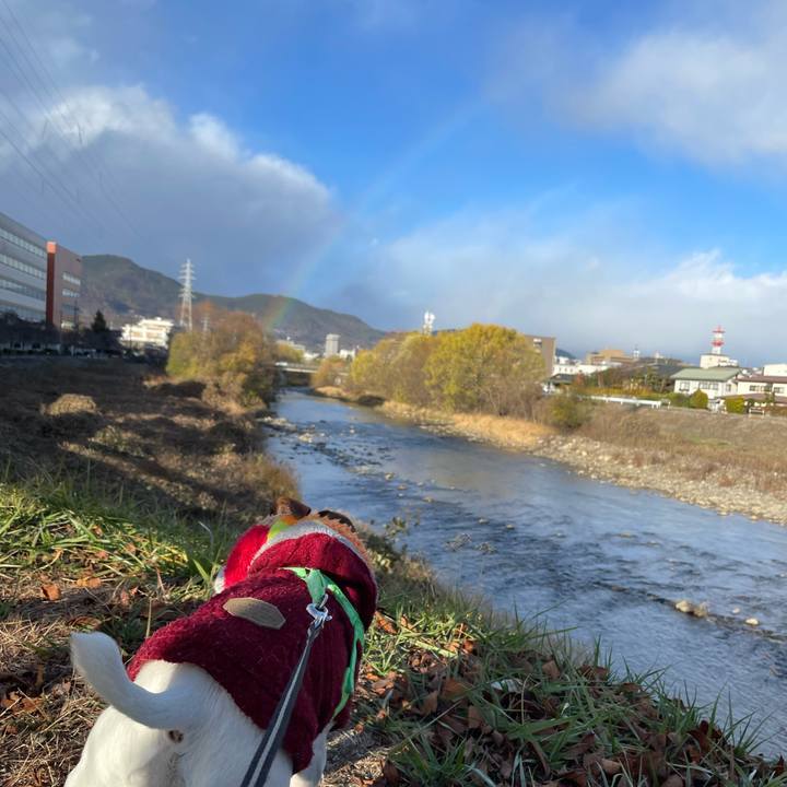 42e26a73 ffff 4c83 a99f 480f75c7e7dd 1701957407102