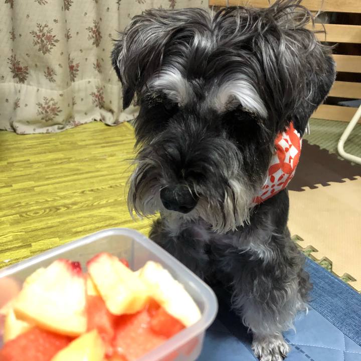 42e2eb66 b802 4503 b60d b9fcea71f7d8 1692537404298