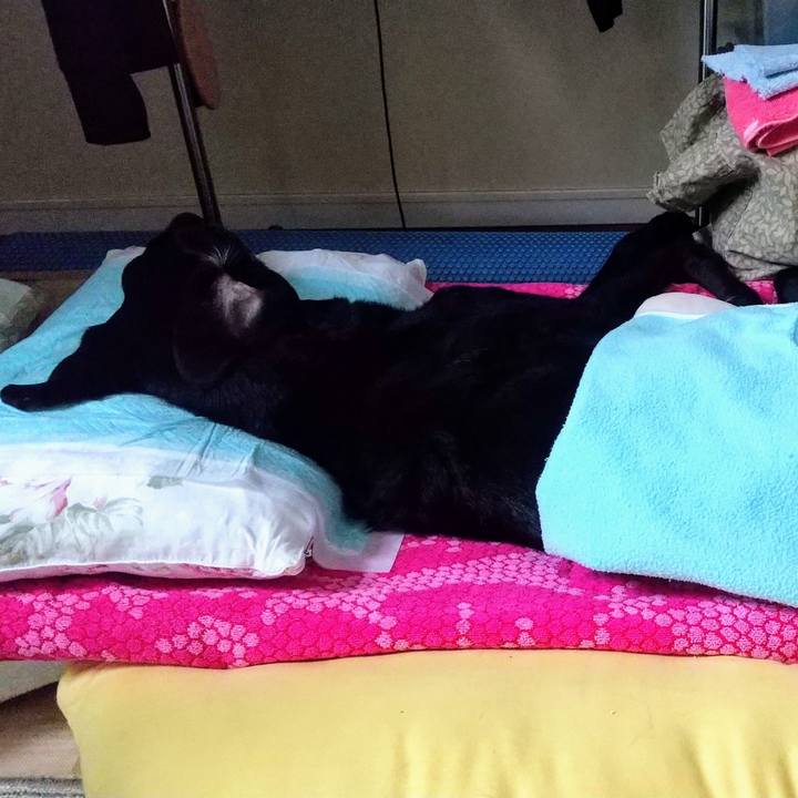 42e326fd 31f2 4e72 b0ee 061302224eca 1719446388398