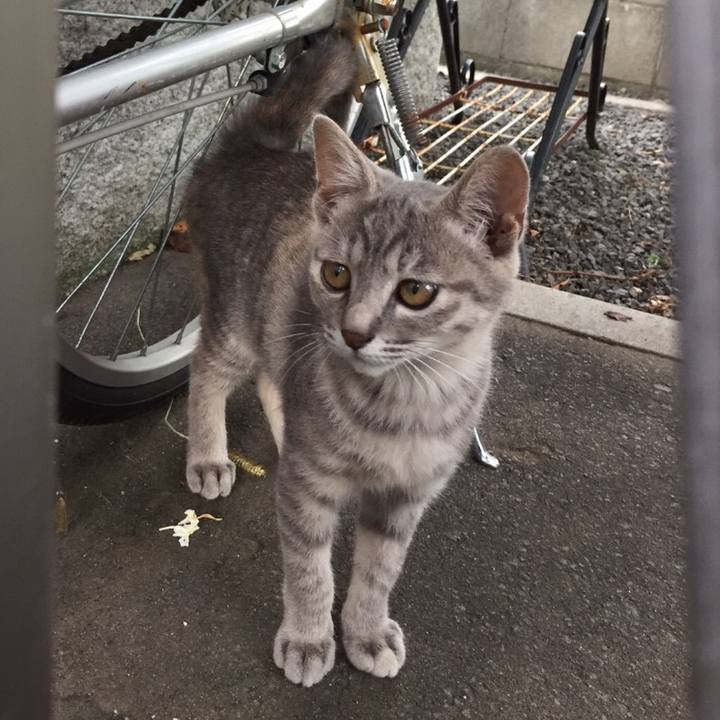 42e32867 cba4 48a0 9956 14bbf5d13586 1606138852757