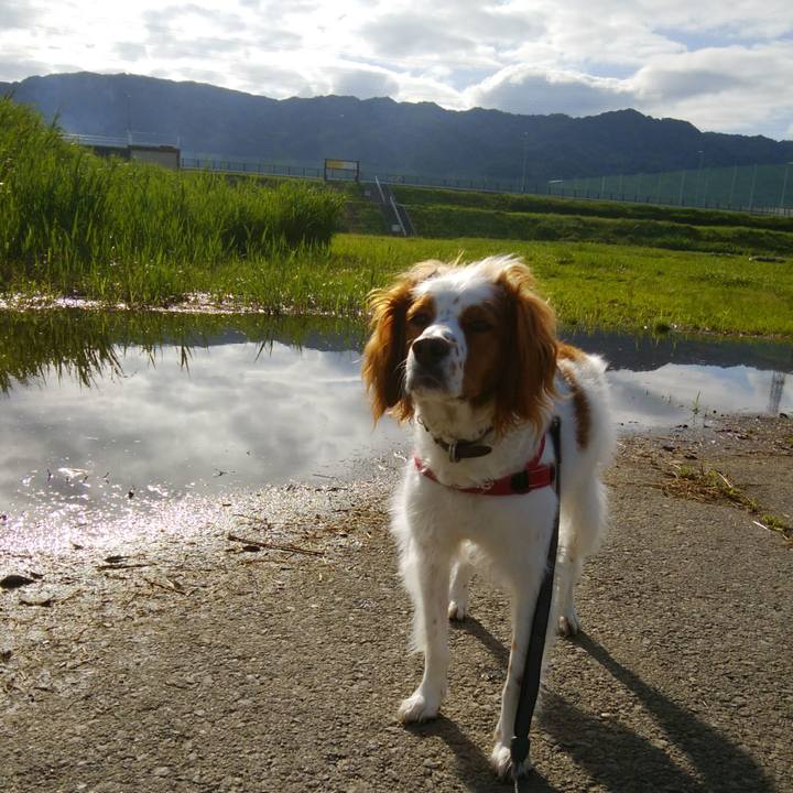 42e32c4e b4db 47ba 82e4 a6acc535d4b1 1526774252153