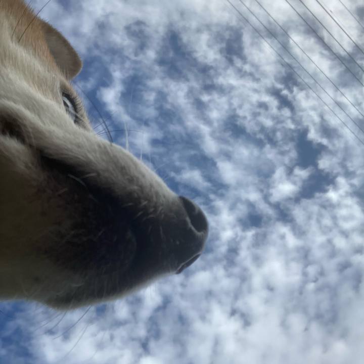 42e33037 daee 4f8b 988c dca877794cf7 1696644738579