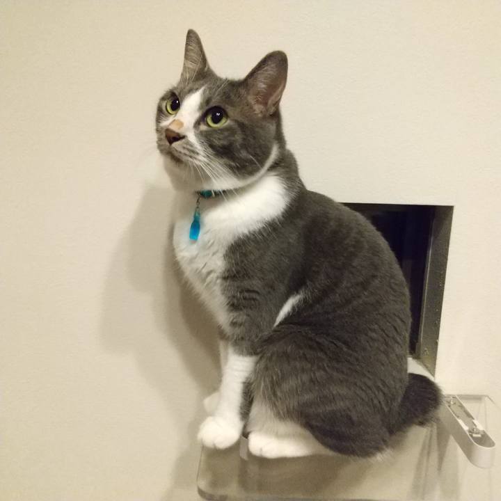 42e35647 29d8 45de a631 8a9f9dc87bea 1625483895429