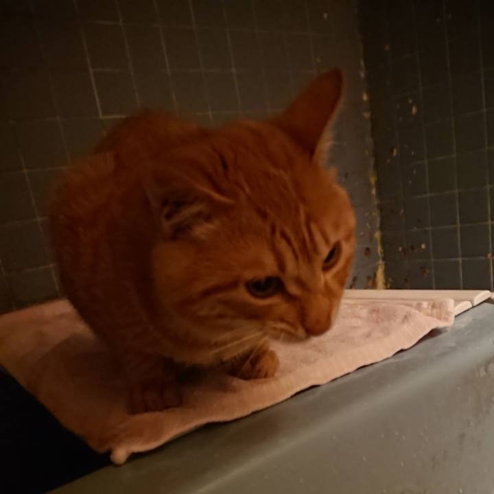 42e3b0d0 a787 4d59 a44a 66787076e763 1638784354724