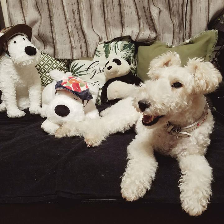 42e3b624 1b35 44cd 9466 ec481289643b 1536245343353