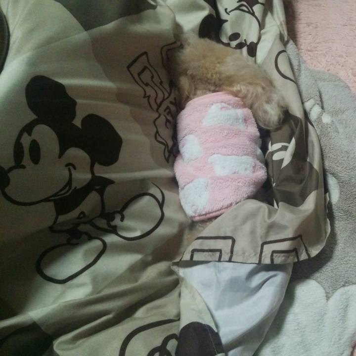 42e3b96b dc4c 4915 9966 908932d36c5d 1547297873138