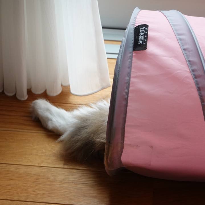 42e3eb05 6a11 429e 80bd a9c09921a867 1595824869692