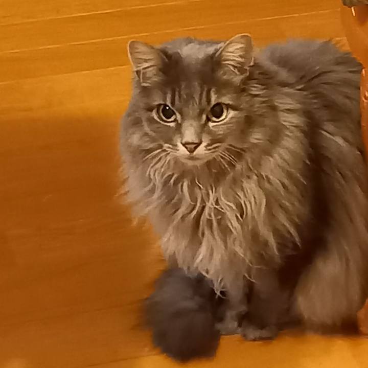 42e4045a 9ba9 4b1c ae67 2d6f6a305a0f 1615242291566