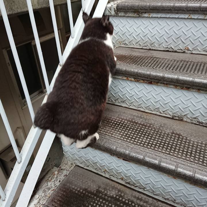 42e40a0d b20a 4dd6 b439 b786f442b0f7 1657615974466