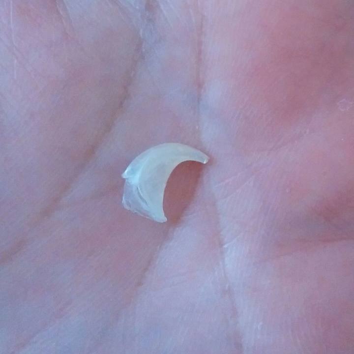 42e41d0b 0ed8 470a 86de d9e5f72ea38f 1587265580820