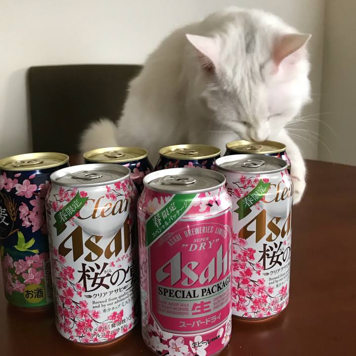 42e42cd9 04b9 4dbc 9c9b 8b7d08302a90 1522494716537