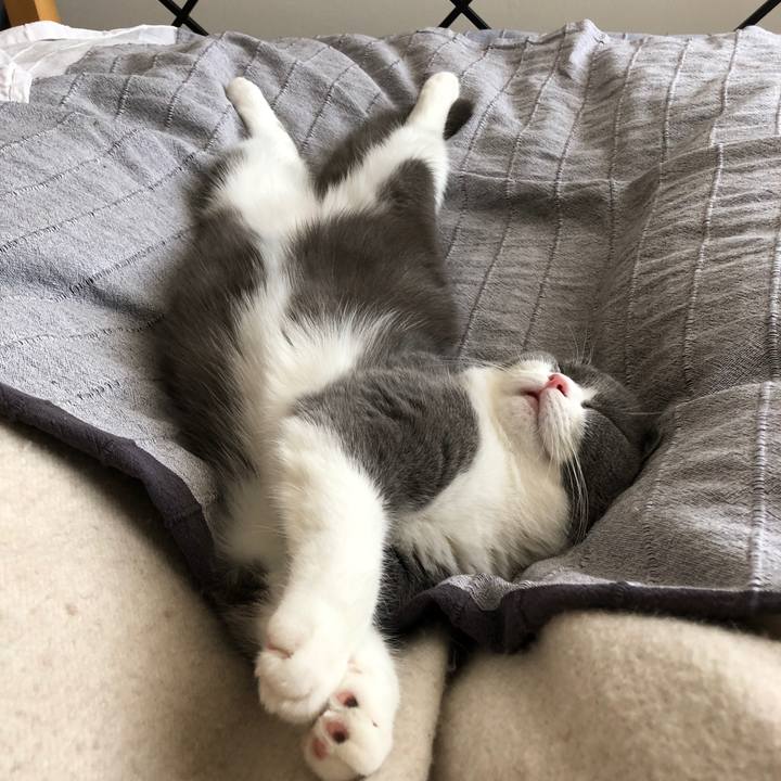 42e4381c b5f4 4c1b 8182 69a79af16042 1522246309786