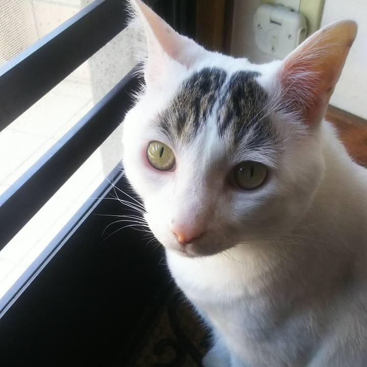 42e4505f 39e7 4ad8 b102 03e90a8a40e8 1558586700640