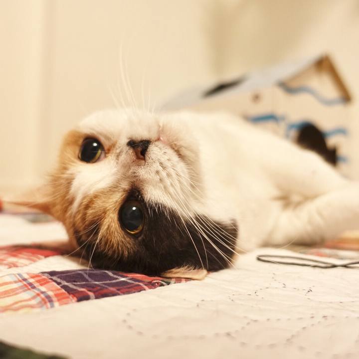 42e48092 d69d 4b14 9ea4 b34a1e2c4ba9 1529167674861