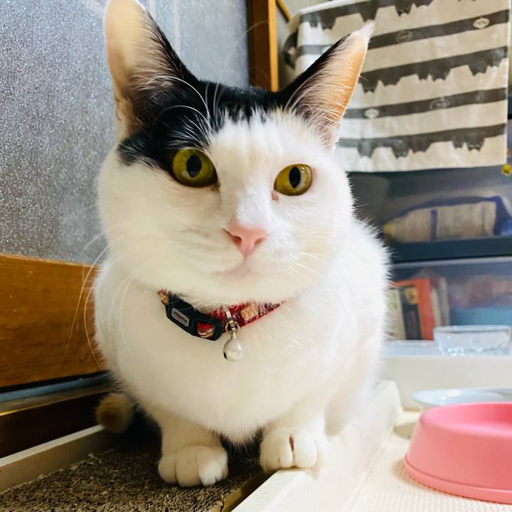 42e4cc95 f10f 42cc 980f 90a683af9d56 1674727523384