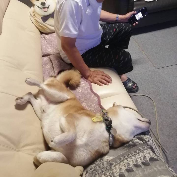 42e4e709 ef1e 4c31 aeb1 cf66325d2111 1599441074117