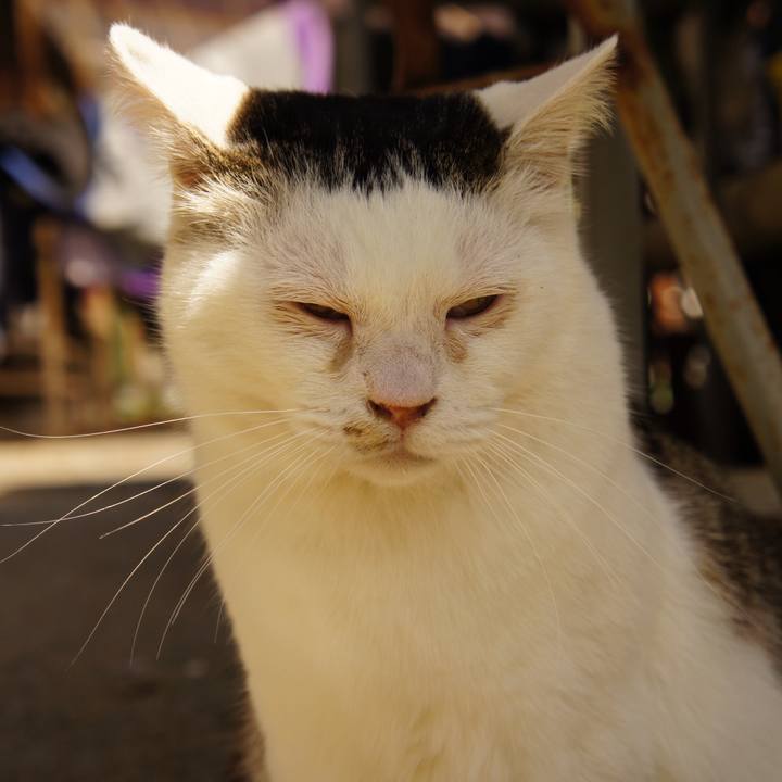 42e5102f 7cbe 4a92 9623 bba5c3113180 1523446588056