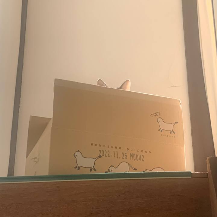 42e558b7 73f6 48c4 8060 e3f396c9ef3f 1677661392216