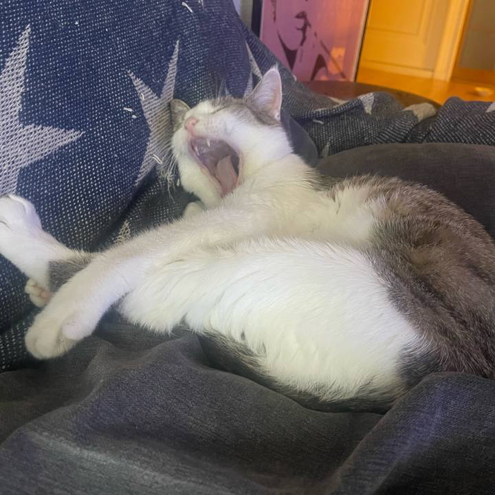 42e55cac 89f7 4a30 98c9 fa8b4132b8f4 1695698687290