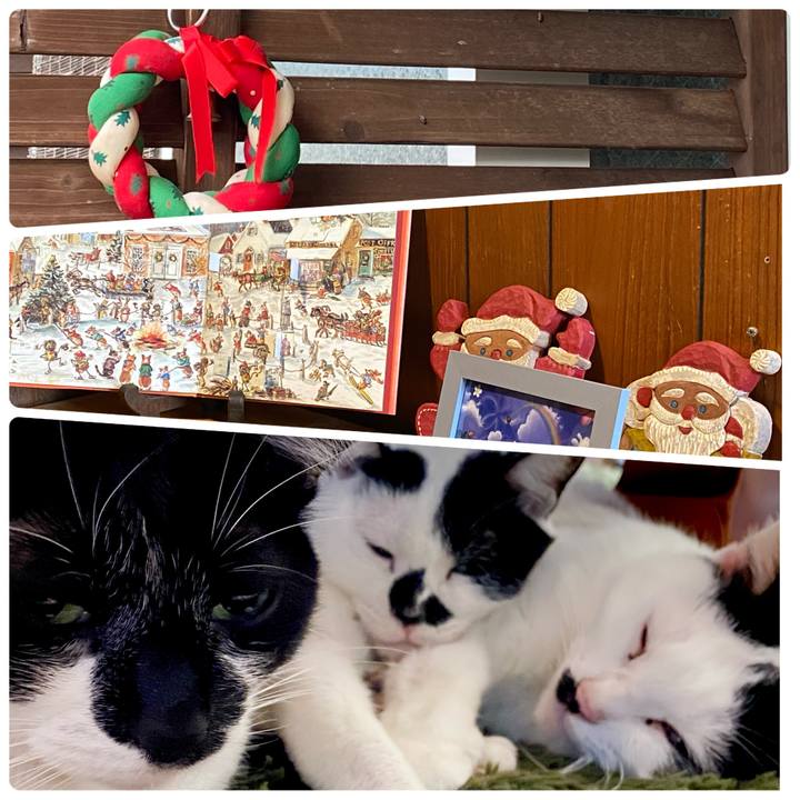 42e55ddb a85c 45de b083 99edfe21cdcb 1702951034337