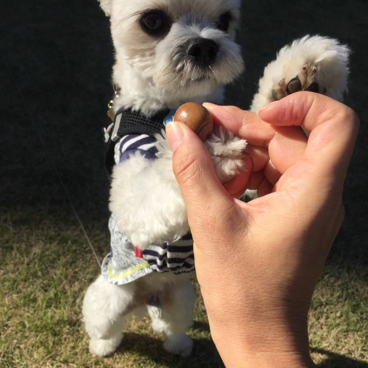 42e574e9 0da9 4e83 849f c24659a6f73b 1508763169956