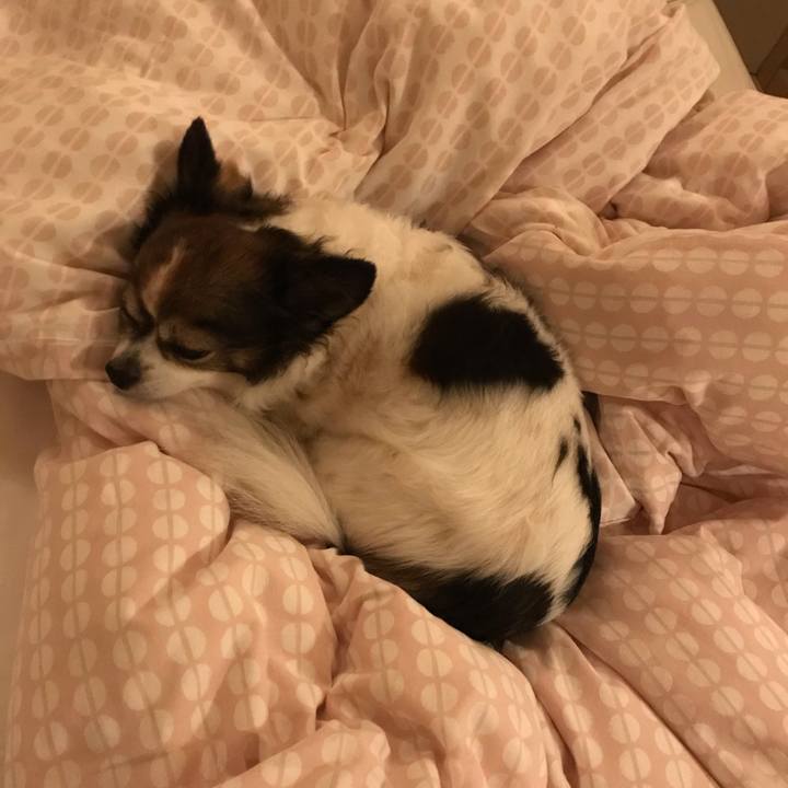 42e5cd66 8af4 4a58 8512 9bc534fd2cd3 1601559504073