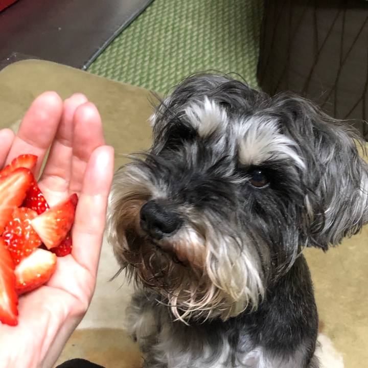 42e5cd81 f44c 44b4 b36e 3f947df446da 1552743571411