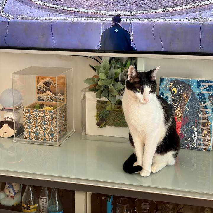 42e62a1f 05f0 4cdc aaac 97b5e9d30364 1768612930528