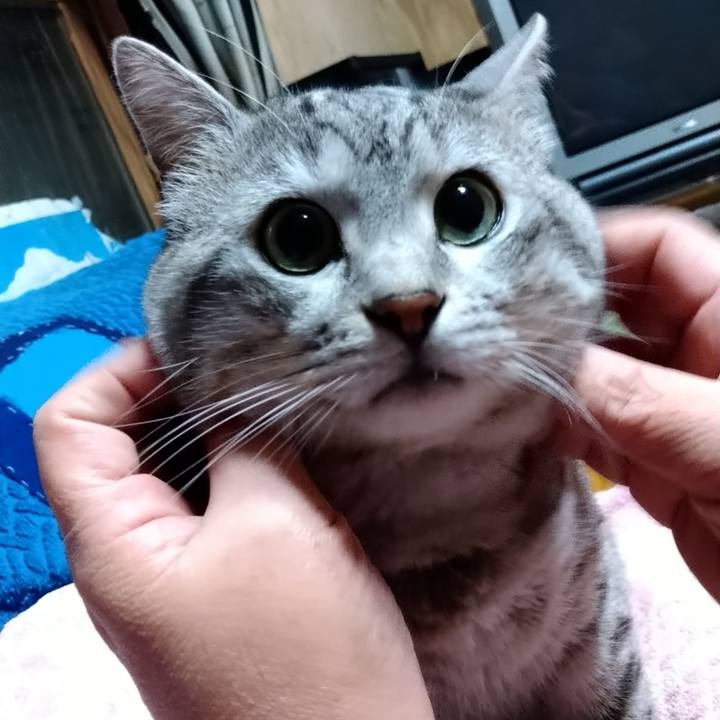 42e6572c 4126 4159 9ac6 13aece94bbe4 1668351316811