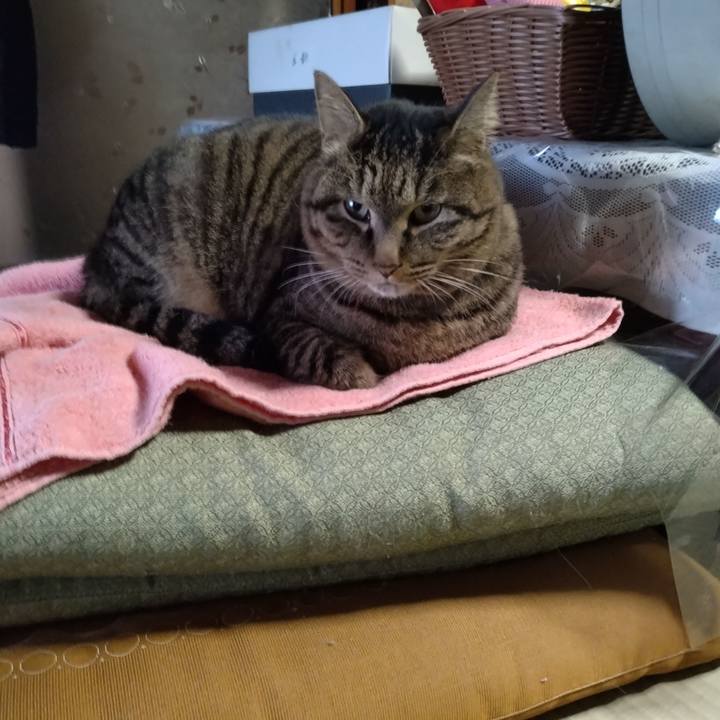 42e6775d ed2d 418f 8f65 cddb7aaea58a 1674690840151