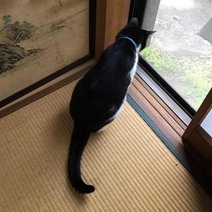 42e678a3 f48e 48b9 89df 6cd4a8b02b48 1752062770001